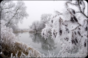 Winter an der Nahe