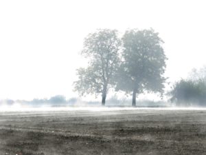 Nebel