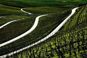 Weinland-Franken
