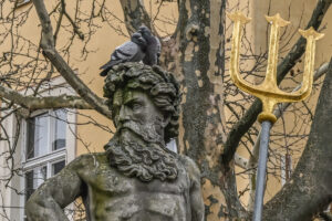 Taube