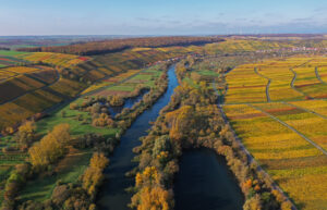 Weinfranken im Herbst