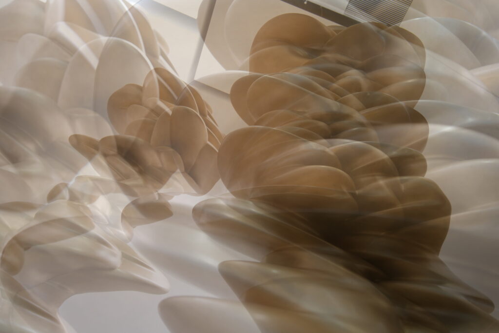 Hannes Dambacher, …Überblendungen…